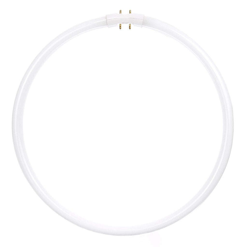 12 pack - Sunlite 05825-SU 40W T5 Circline Cool White Fluorescent