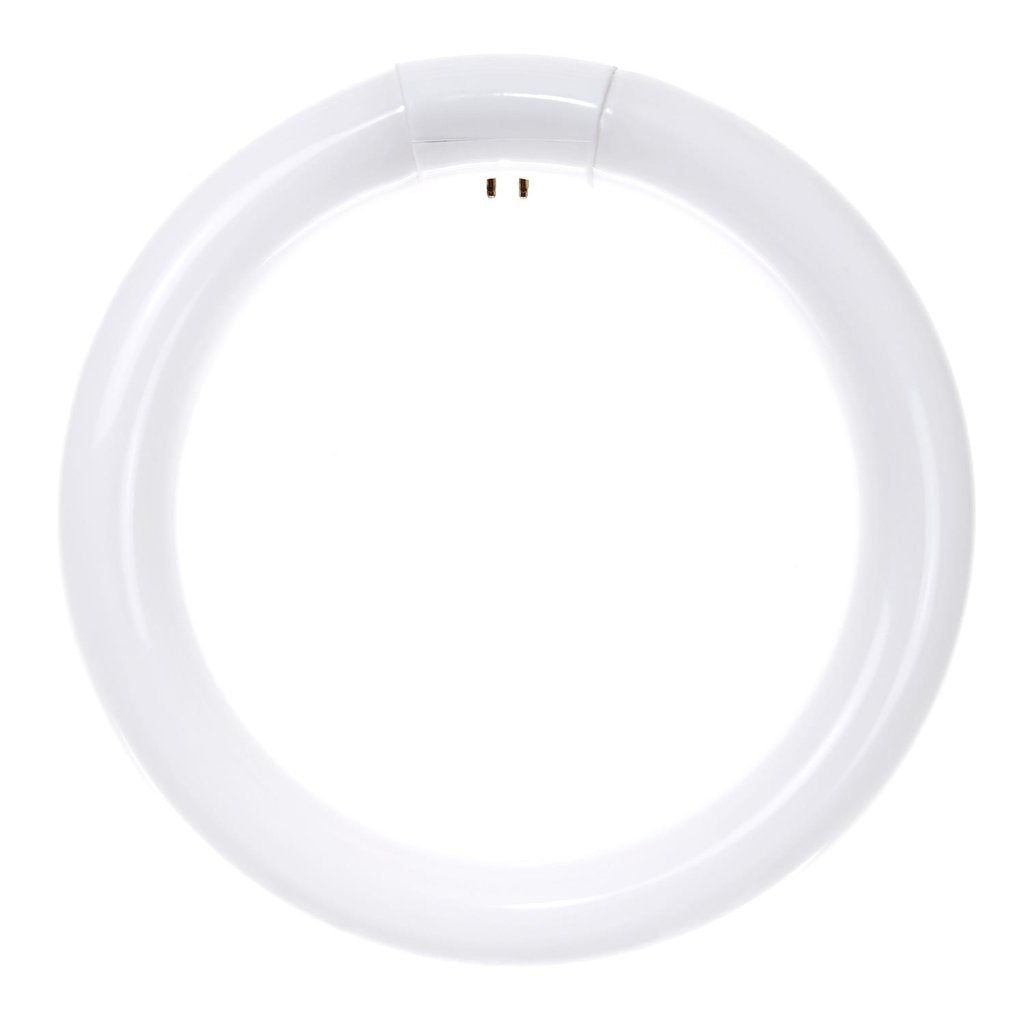 12 pack - Sunlite 05038-SU 30W T9 Circline Super White Fluorescent