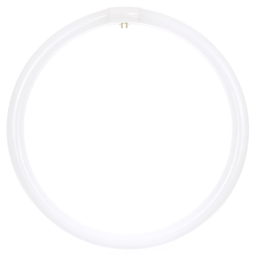 Sunlite 05022-SU 40W T9 Circline Daylight Fluorescent Light Bulb