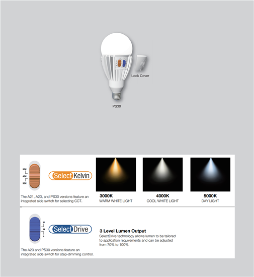 6 pack - Green Creative 37932 Light Bulb