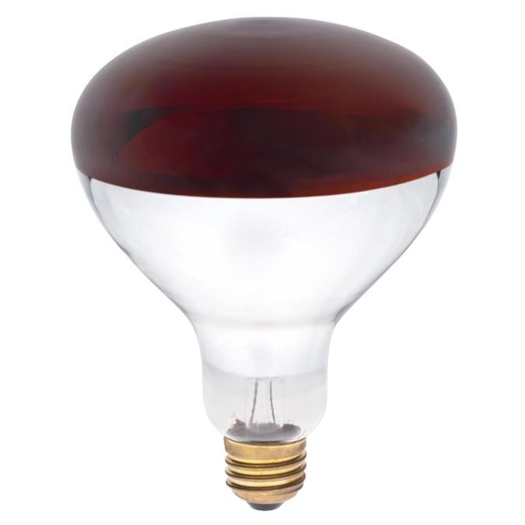 Westinghouse 0391748 250W R40 Incandescent Light Bulb
