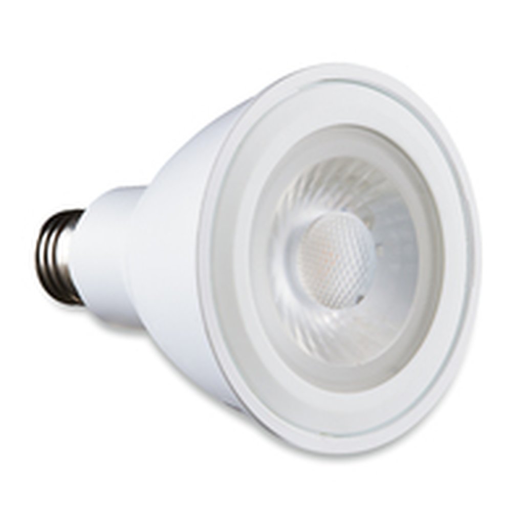Verbatim 70173 PAR30 11W PAR30 Warm White LED Light Bulb