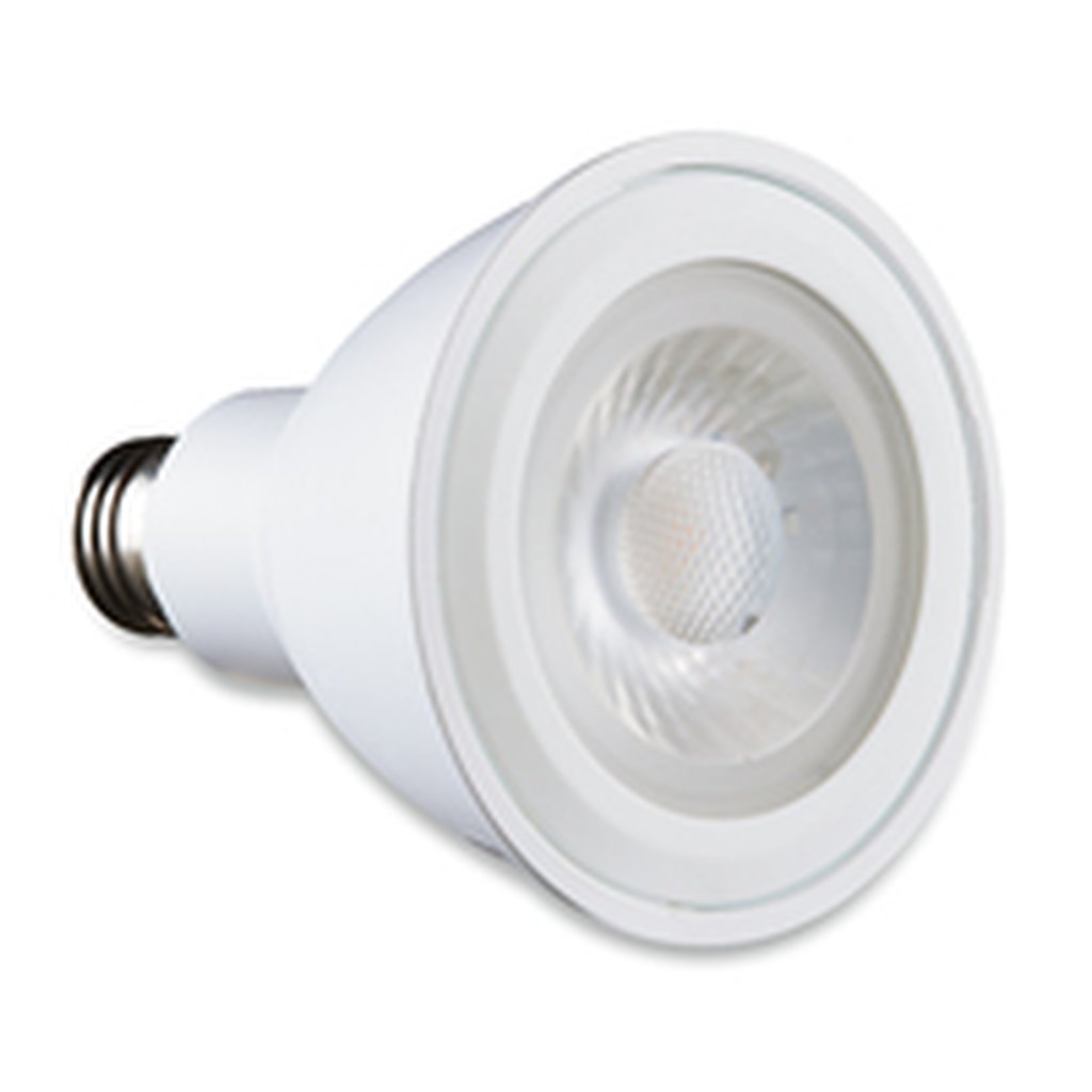 Verbatim 70174 11W PAR30 Soft White LED Light Bulb
