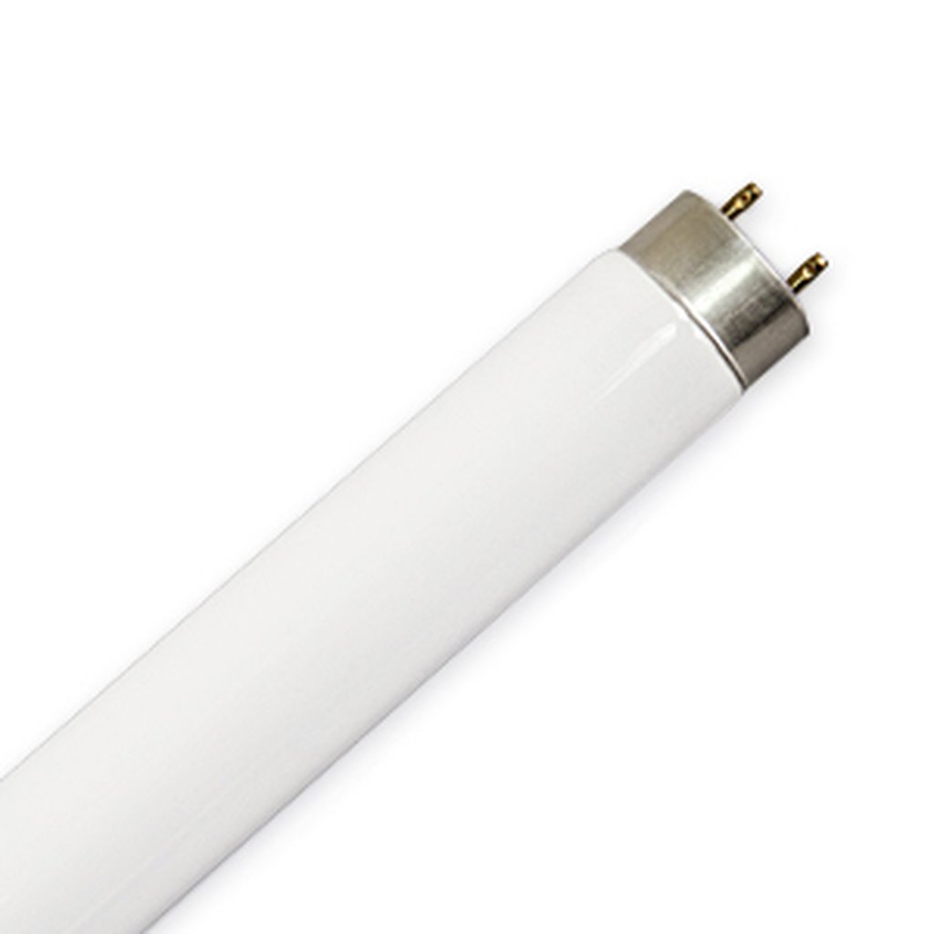 30 pack - PQL Lighting 91615 32W T8 Fluorescent Light Bulb