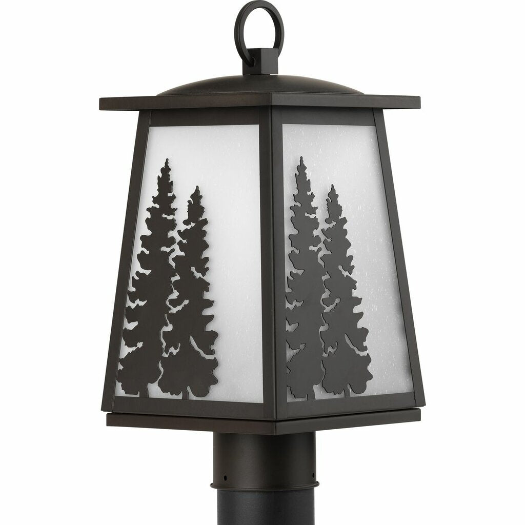 Progress Lighting P540060-020 Fixture Step outside and smell the fresh