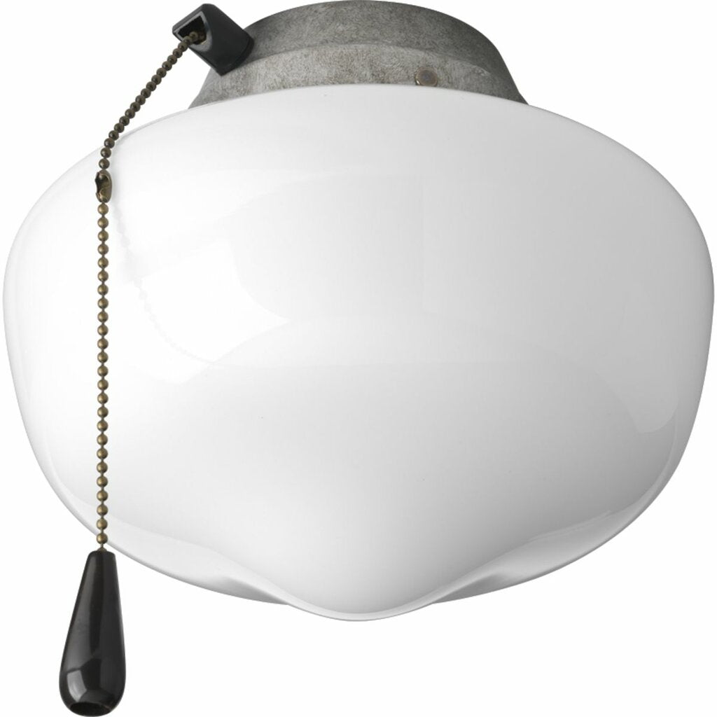 Progress Lighting P2601-141WB Fixture One-light Schoolhouse style