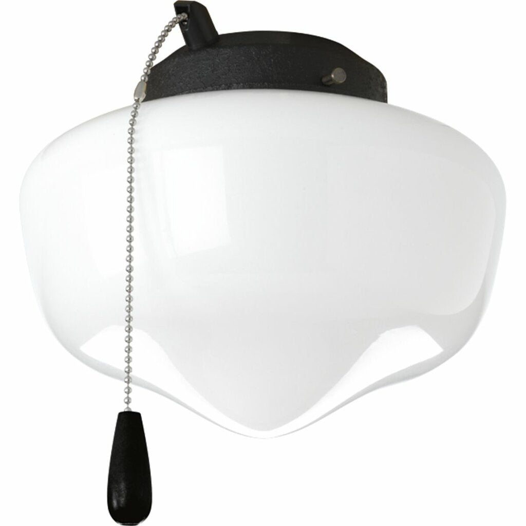 Progress Lighting P2601-80WB Fixture One-light Schoolhouse style