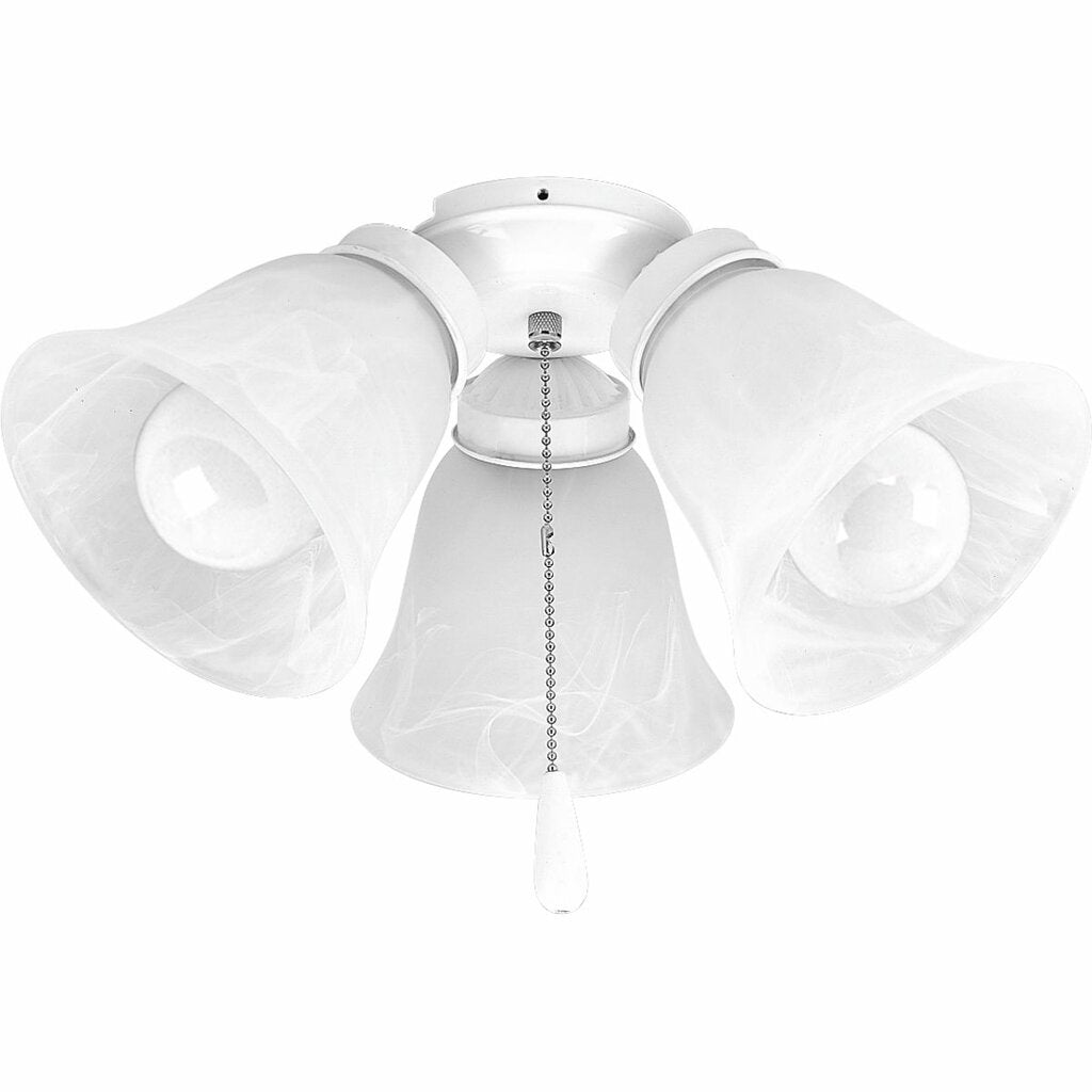 Progress Lighting P2600-30WB Fixture Three-light kit with white washed