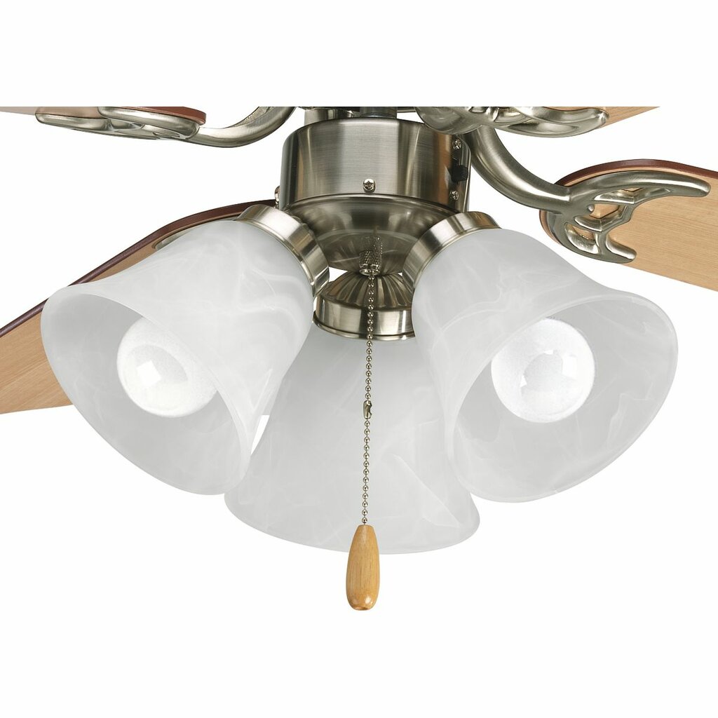 Progress Lighting P2600-09WB Fixture Three-light kit with white washed