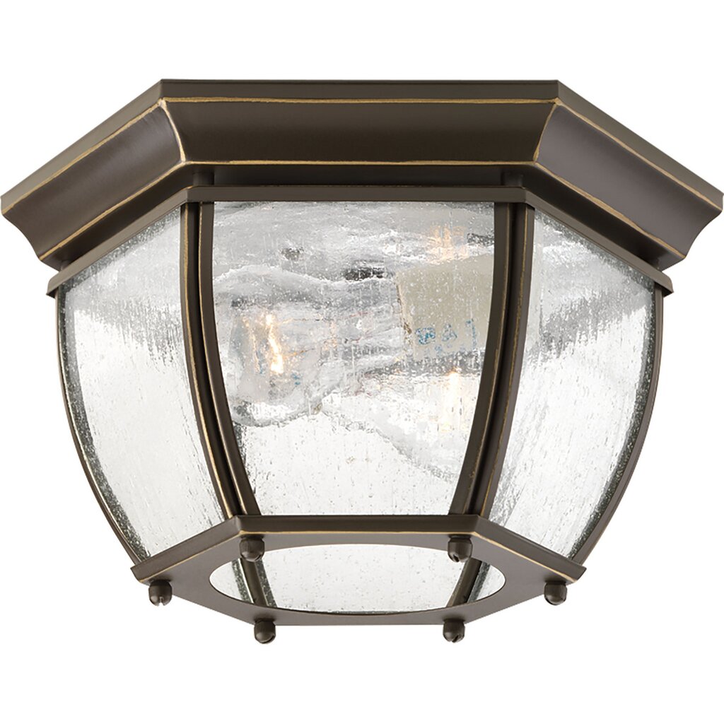 Progress Lighting P6019-20 Fixture Solid two-light flush mount in rich