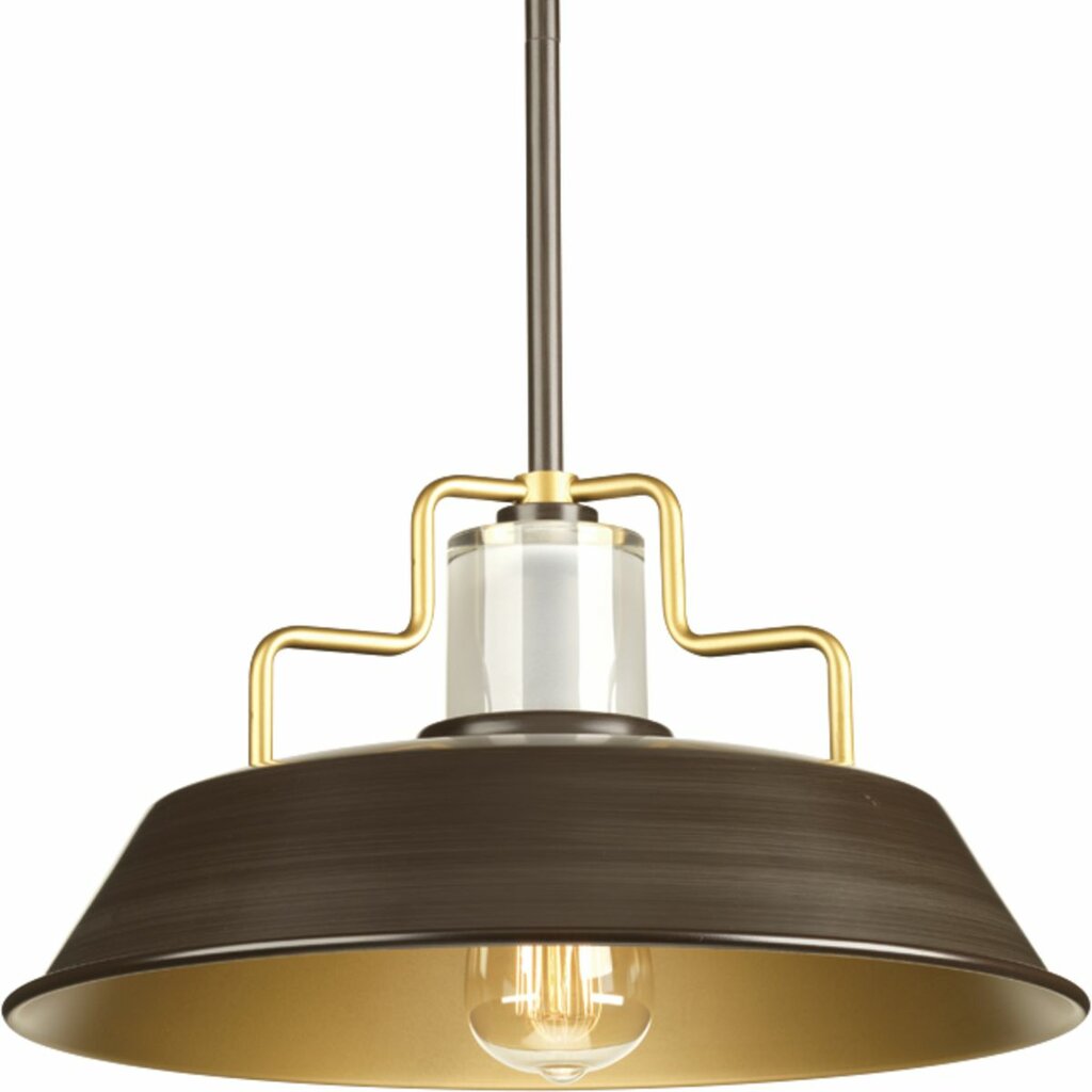 Progress Lighting P500034-020 Pendant Fixture One-light 14 inch
