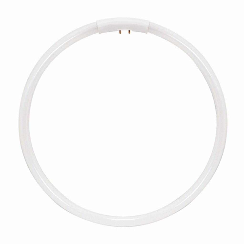 Satco S8166 22W T5 Circline Daylight Fluorescent Light Bulb