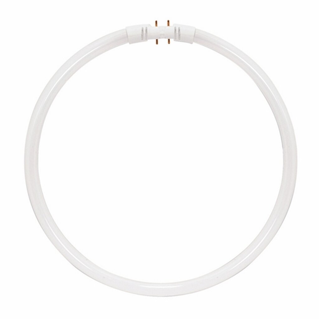 Satco S8162 55W T5 Circline Fluorescent Light Bulb