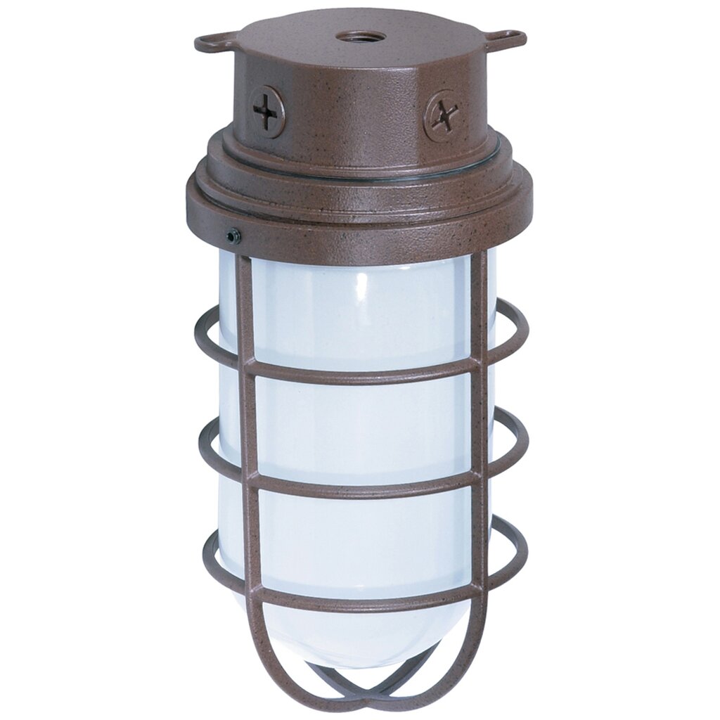 Satco 76/627 Fixture 1 Light - 10 Industrial Style Surface Mount