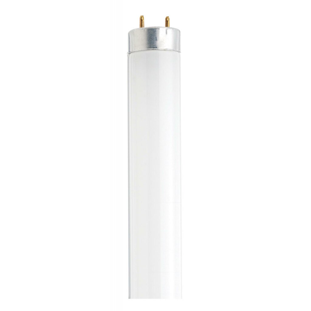 25 pack - Satco S26514 T8 Fluorescent Light Bulb