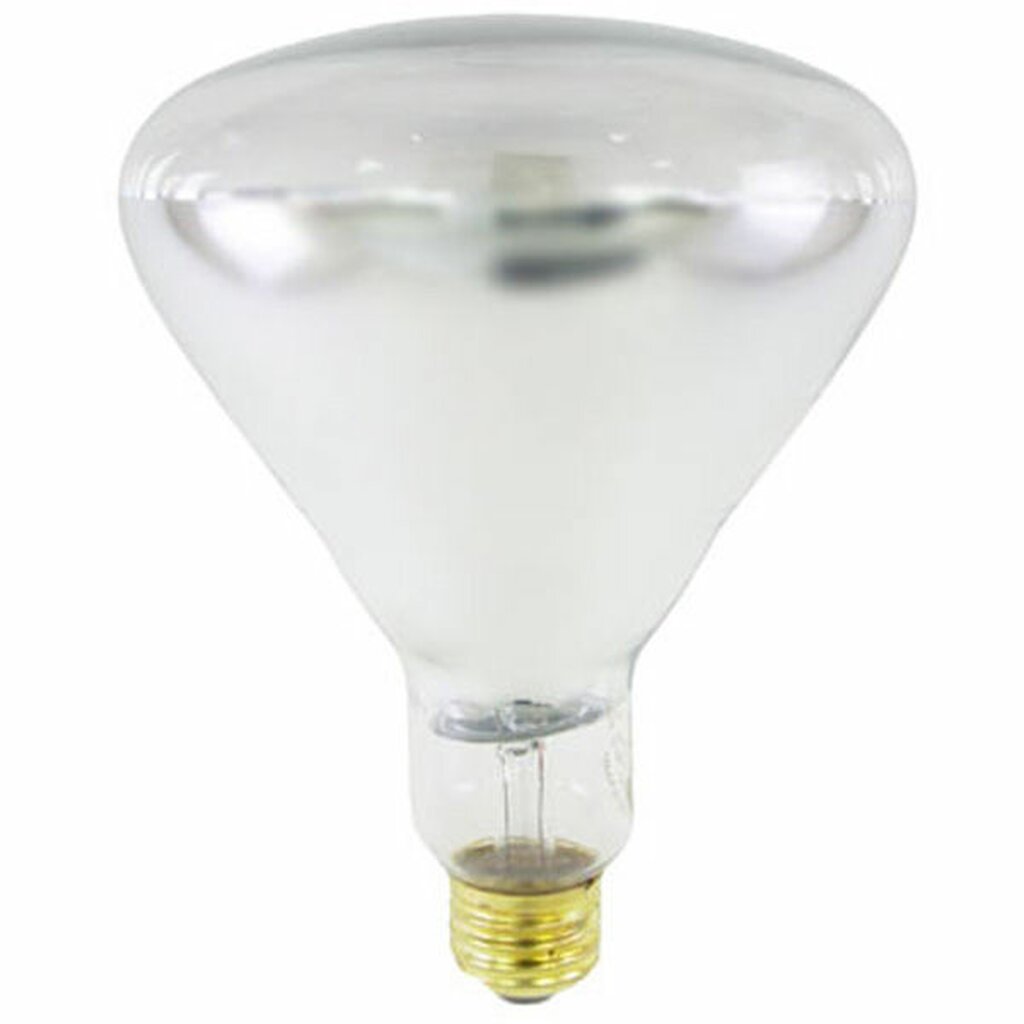 125R40/HT 125W R40 Warm White Incandescent Light Bulb
