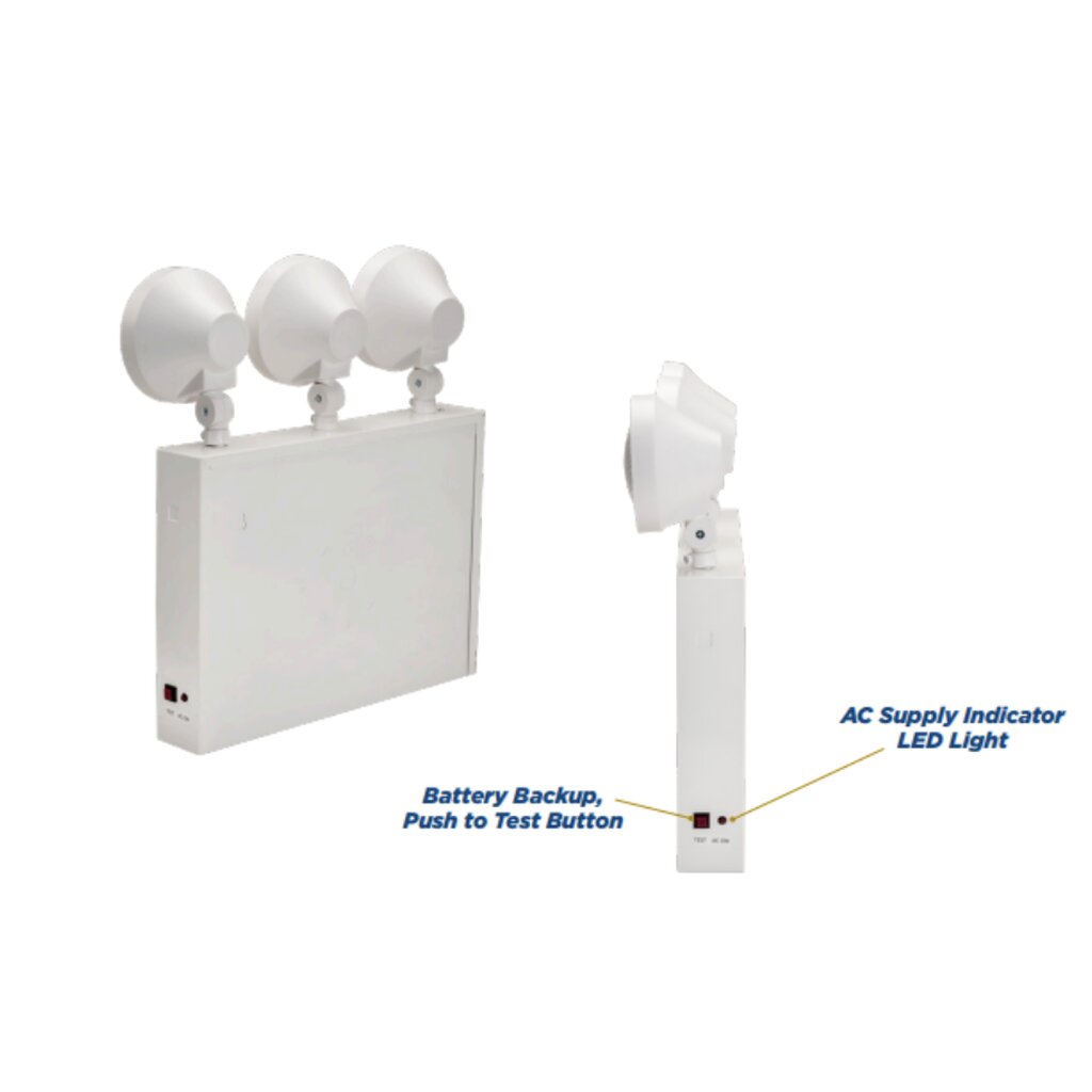 Topaz ESC/LED/RW-NYC LED Fixture Emergency