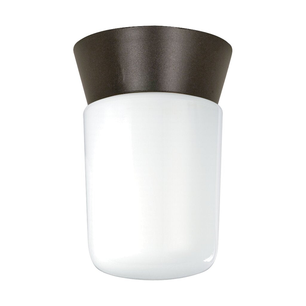 Satco SF77-156 Flush Mount Fixture 1 Light - 8" Utility; Ceiling Mount