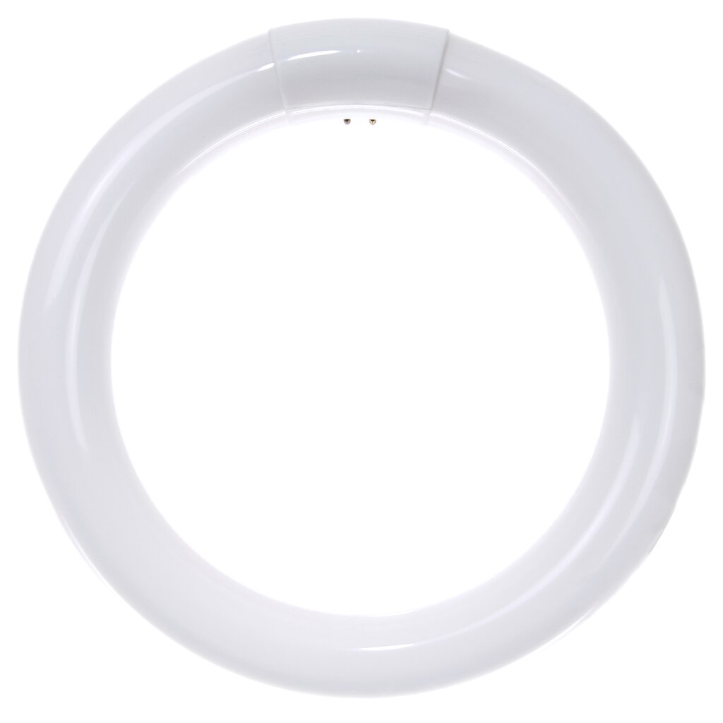 Sunlite 41316-SU 22W T9 Circline Cool White Fluorescent Light Bulb