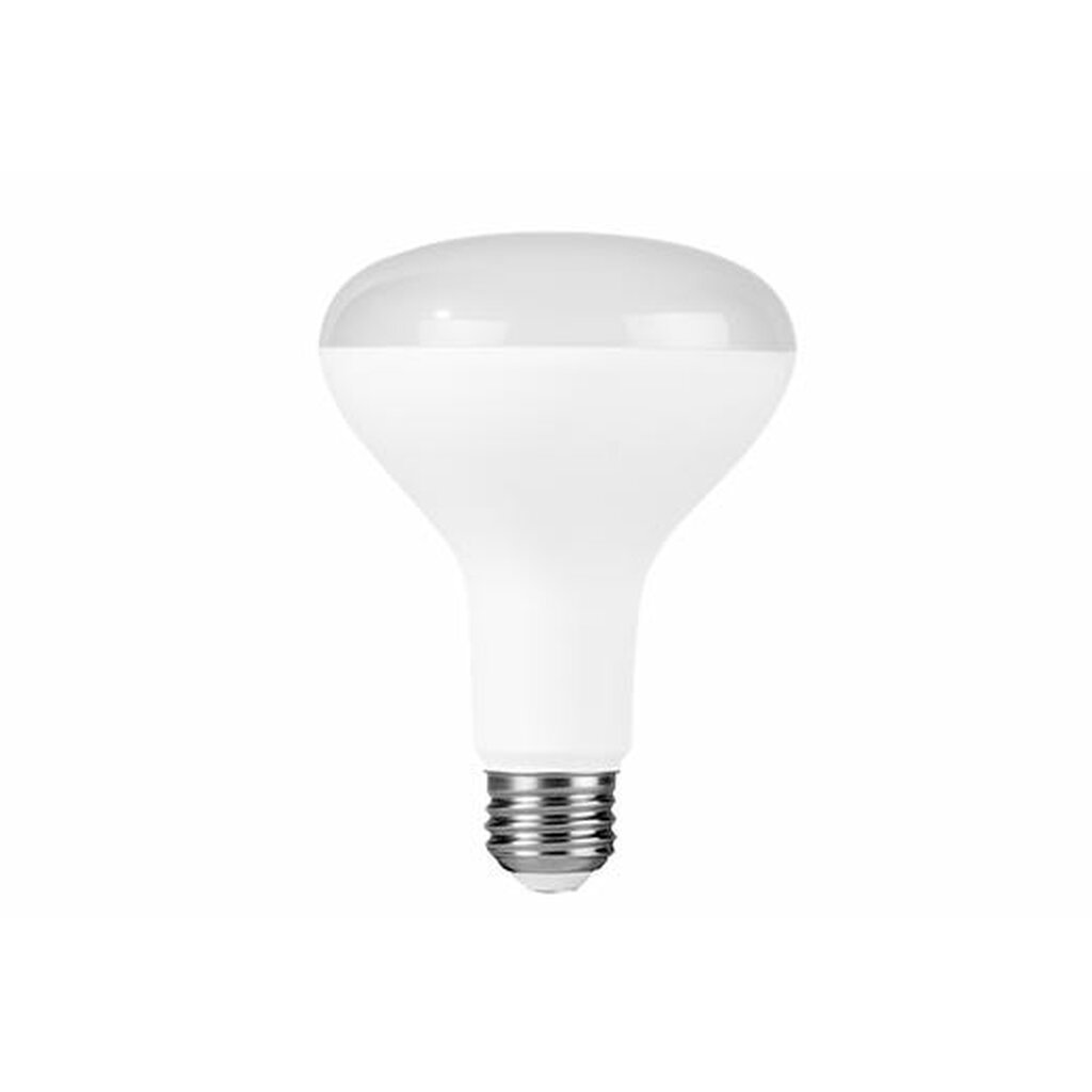 Halco 80293 8W BR30 Daylight LED Light Bulb