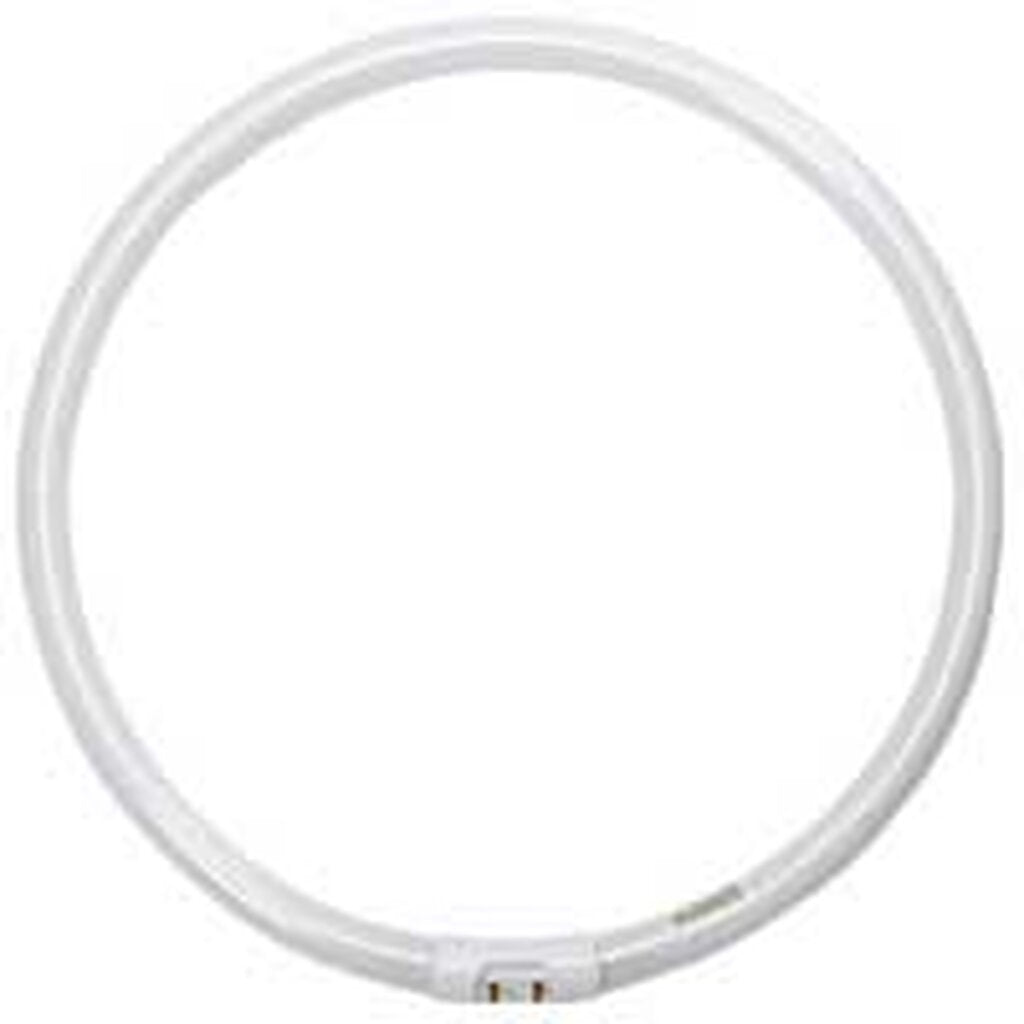 20 pack - ProLume 109084 40W T5 Circline Fluorescent Light Bulb