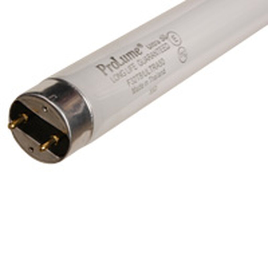 25 pack - ProLume 109234 18W T8 Cool White Fluorescent Light Bulb