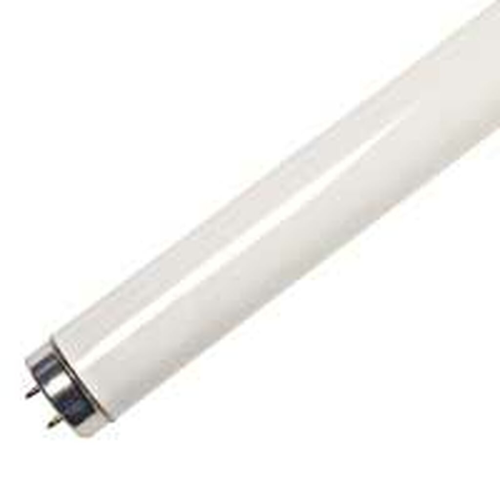 30 pack - ProLume 109370 14W T8 Fluorescent Light Bulb