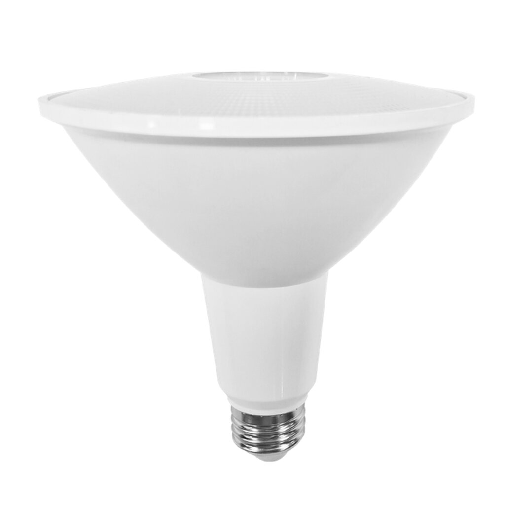 Halco 80250 13W PAR38 LED Light Bulb