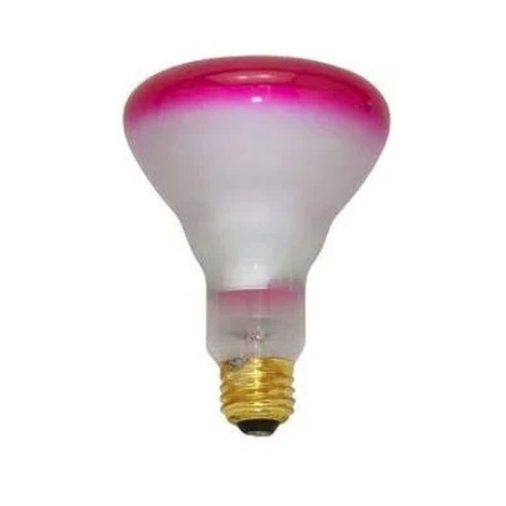 Prism 404031 65W BR30 Soft Pink Incandescent Light Bulb