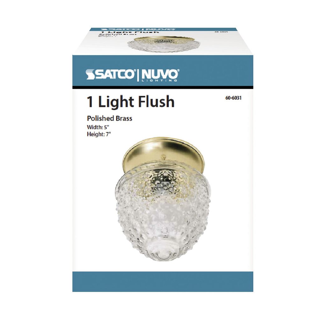 Satco 60-6031 Fixture 1 Light - 6 in. Ceiling Clear Pineapple Glass