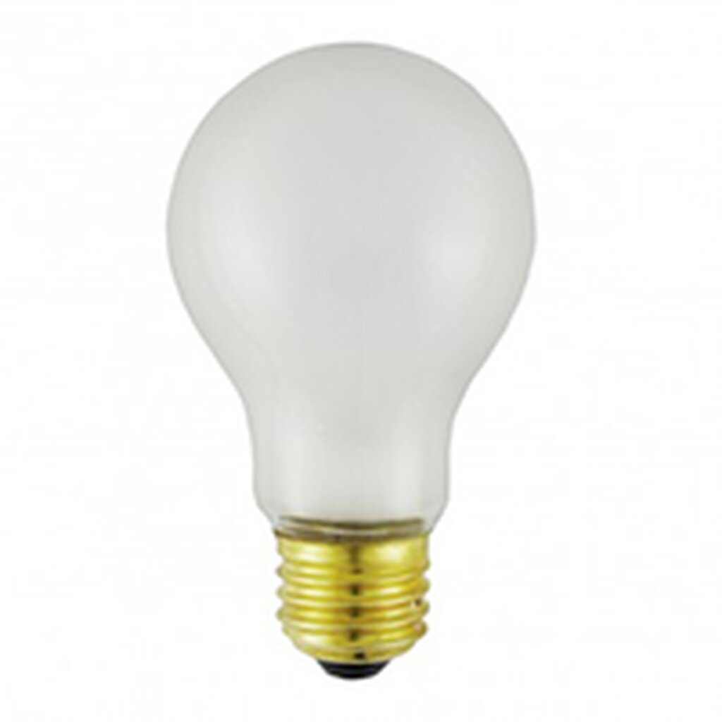 12 pack - PFA-TS100A 100W A19 Warm White Incandescent Light Bulb