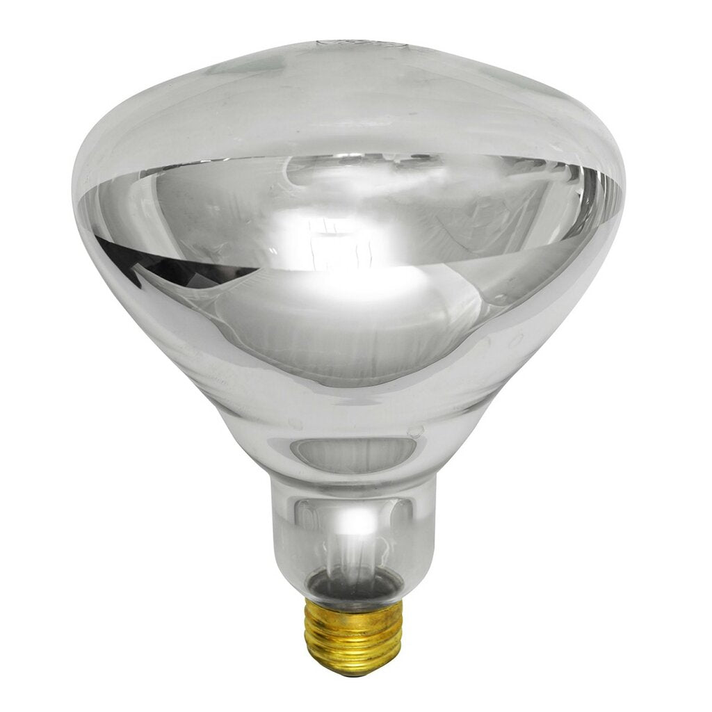 250R40/1 250W BR40 Incandescent Light Bulb
