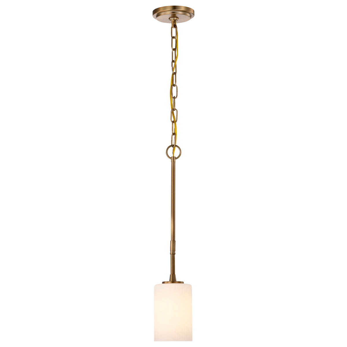 Nuvo 60-8205 Liam, 1 Light Mini Pendant, Burnished Brass