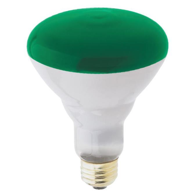 Westinghouse 0467300 75W BR30 Incandescent Light Bulb