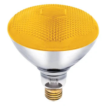 Bug Incandescent