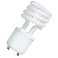 ProLume 46506 13W T2 Coil CFL Light Bulb