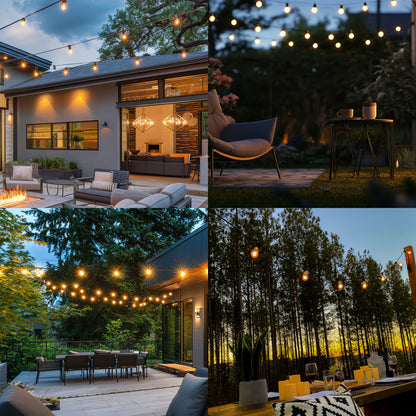 Bulbrite 810006 Bulbrite 14 ft, 10-Socket Decorative Kit with Clear Incandescent STRING10/E26/BLACK-S14KT Indoor and Outdoor String Lights, Foot, Black