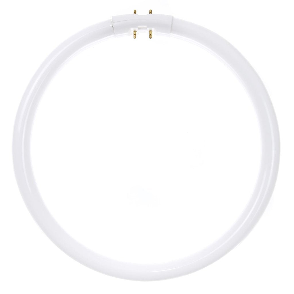 12 pack - Sunlite 05810-SU 22W T5 Circline Cool White Fluorescent