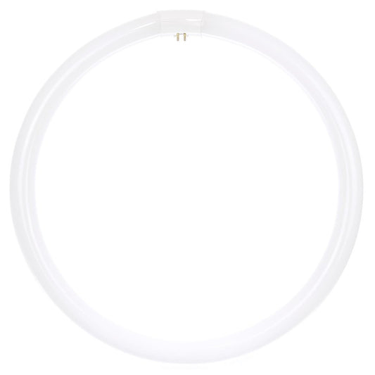 Sunlite 05021-SU 40W T9 Circline Cool White Fluorescent Light Bulb