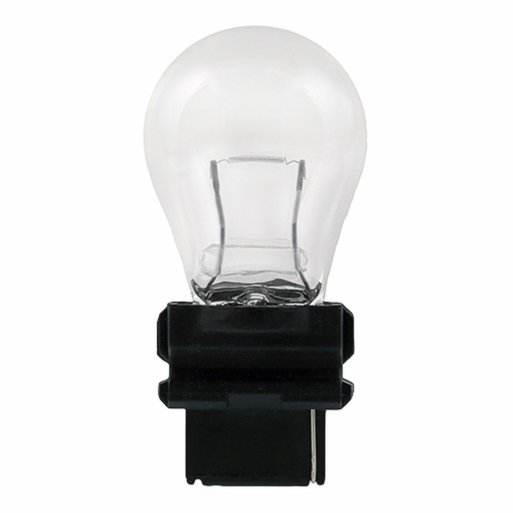 10 pack - Halco 65030 S8 Warm White Incandescent Light Bulb