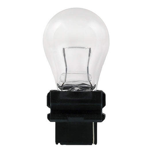 10 pack - Halco 65030 S8 Warm White Incandescent Light Bulb