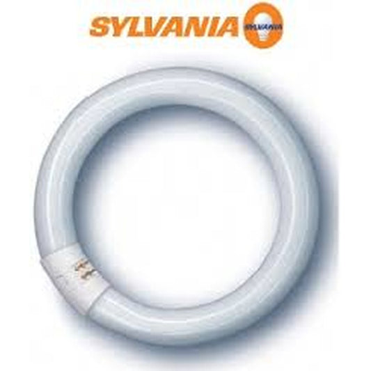 12 pack - Sylvania 20750-S 55W T5 Circline Light Bulb