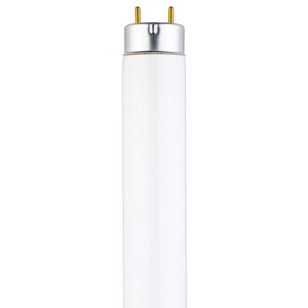 Philips 0754000 15W T8 Fluorescent Light Bulb