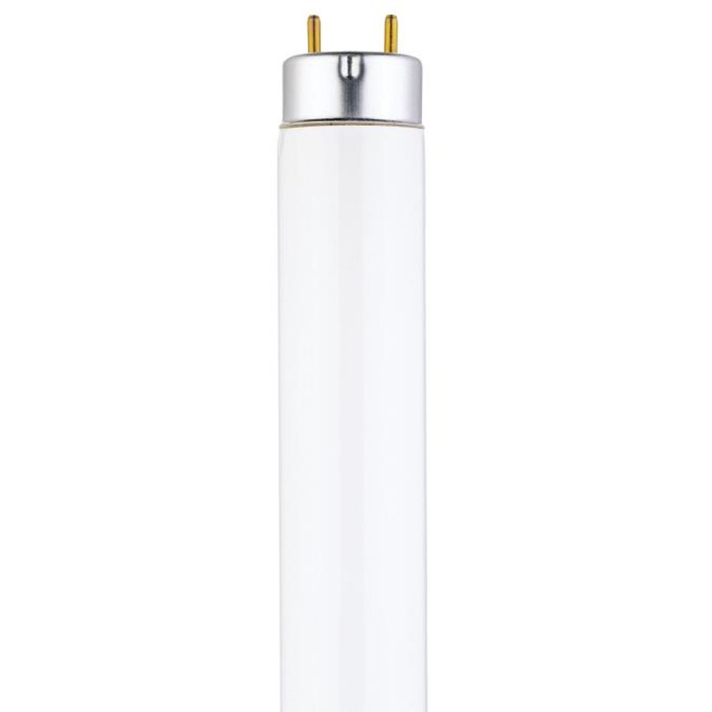 25 pack - Westinghouse 0745651 25W T8 Fluorescent Light Bulb