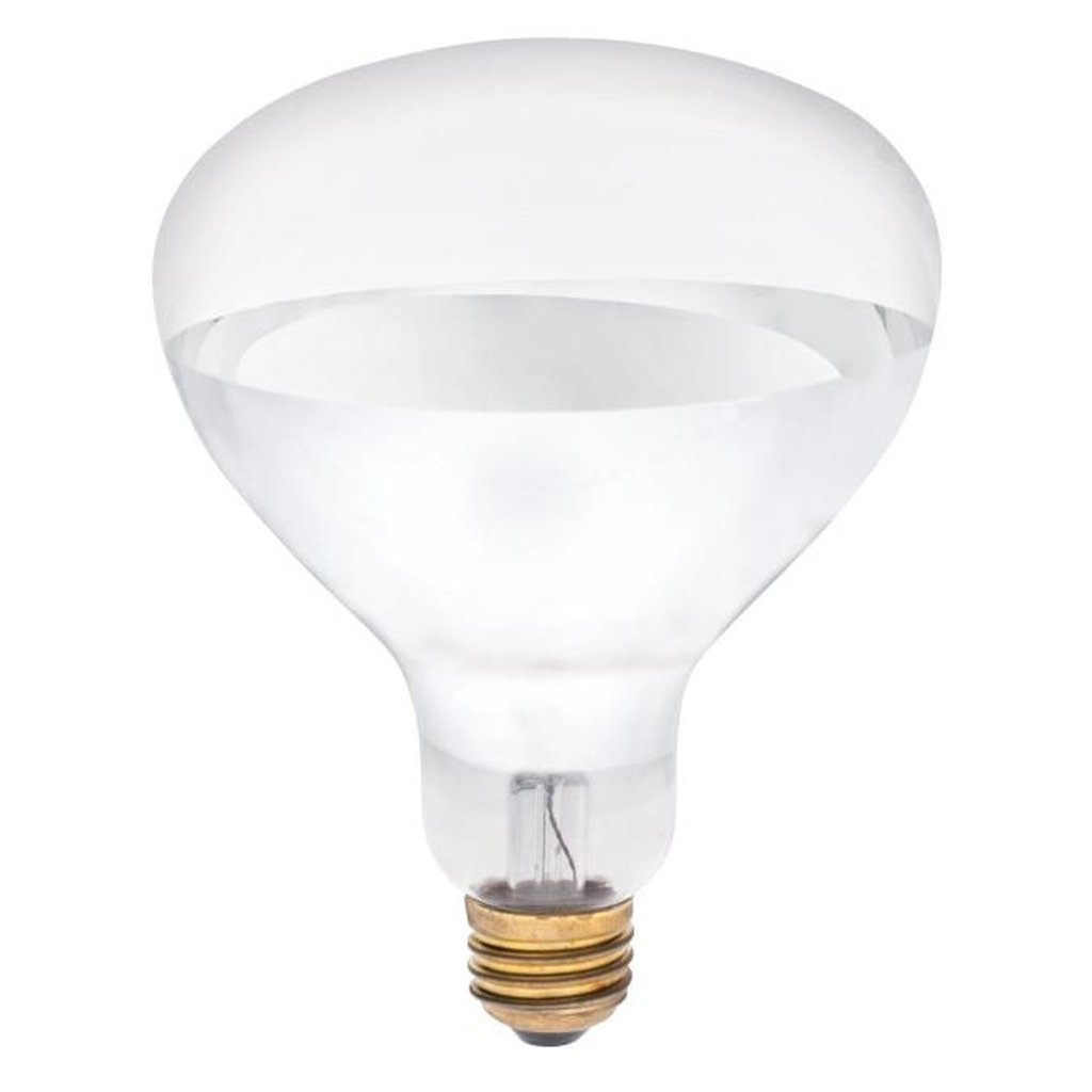 Westinghouse 0391648 250W R40 Incandescent Light Bulb