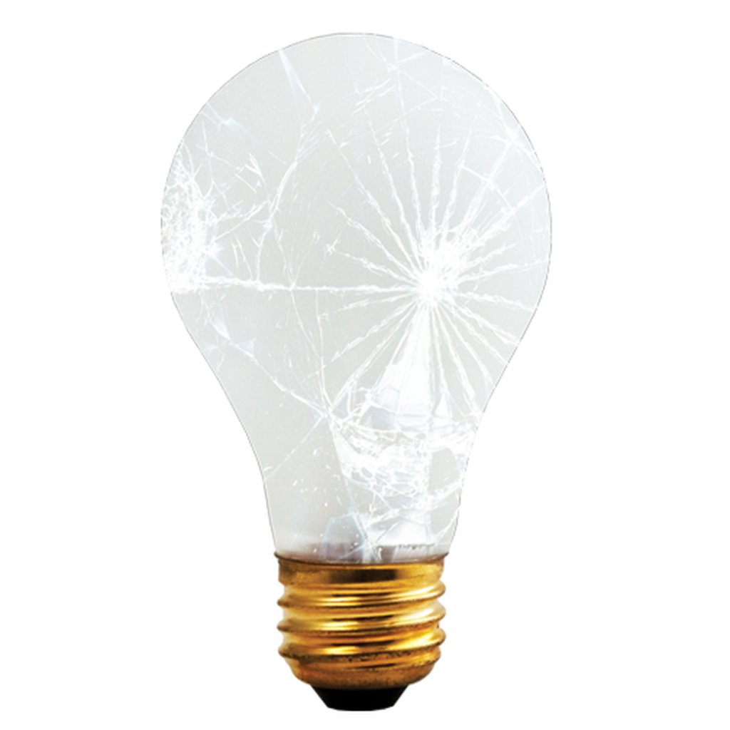 12 pack - Bulbrite 860874 100W A19 Warm White INCANDESCENT Light Bulb