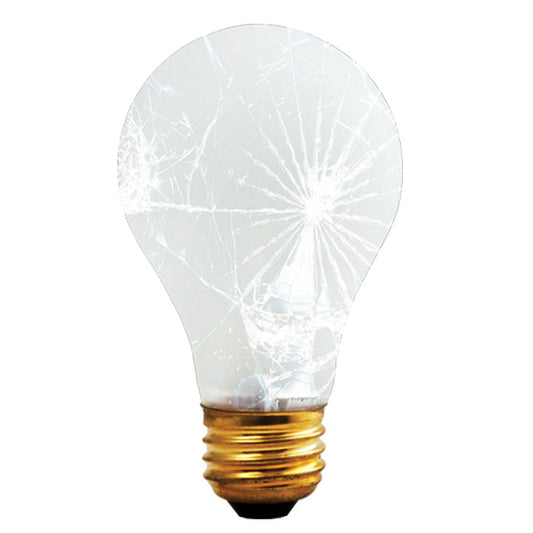 12 pack - Bulbrite 860874 100W A19 Warm White INCANDESCENT Light Bulb