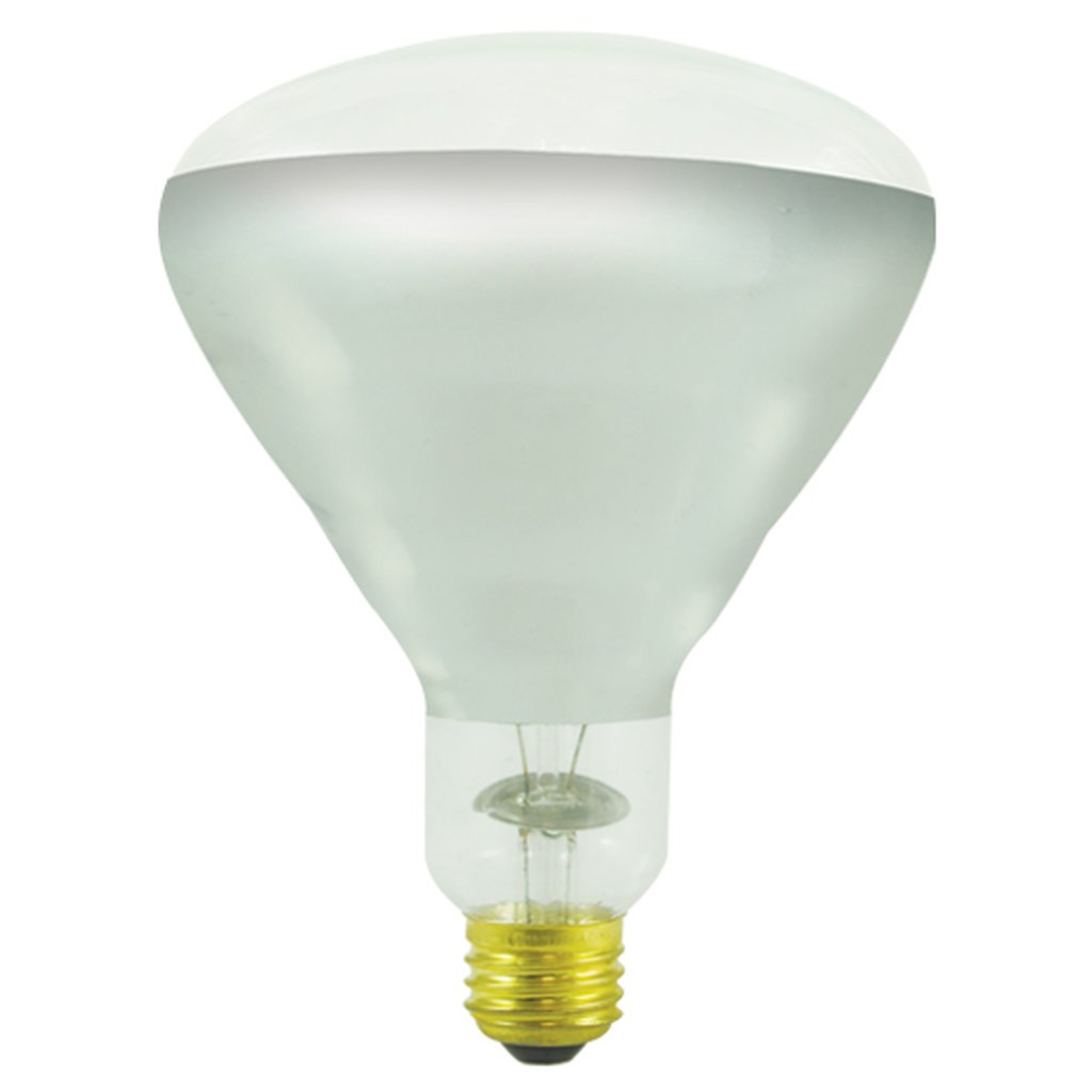 6 pack - Bulbrite 860894 (714725) 250W BR40 Warm White Incandescent