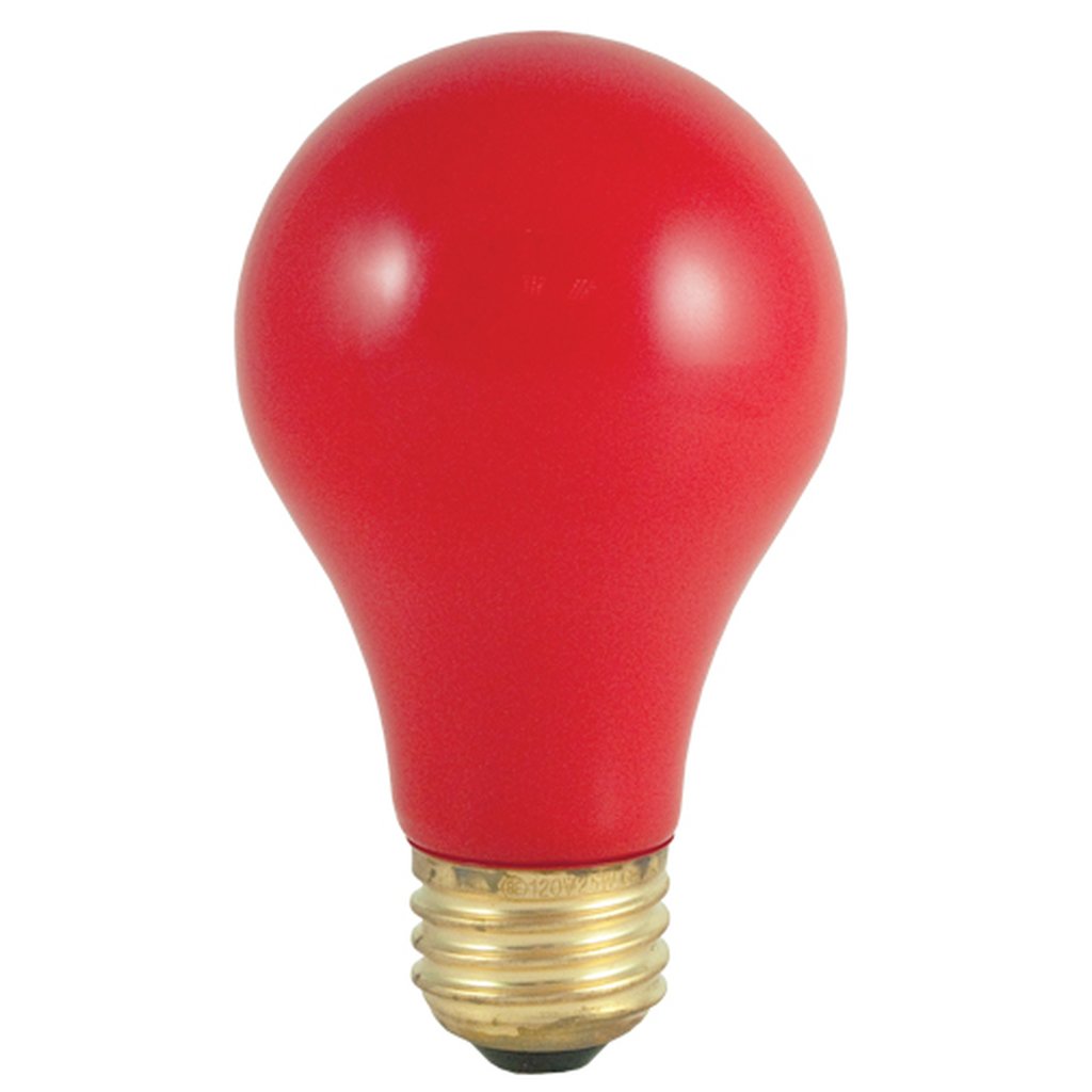 18 pack - Bulbrite 861122 (106740) 40W A19 Incandescent Light Bulb