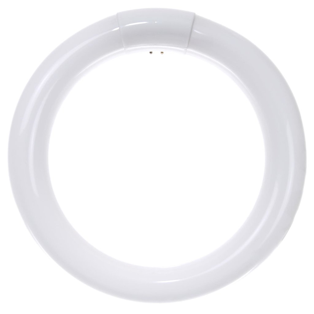 12 pack - Sunlite 05027-SU 22W T9 Circline Cool White Fluorescent